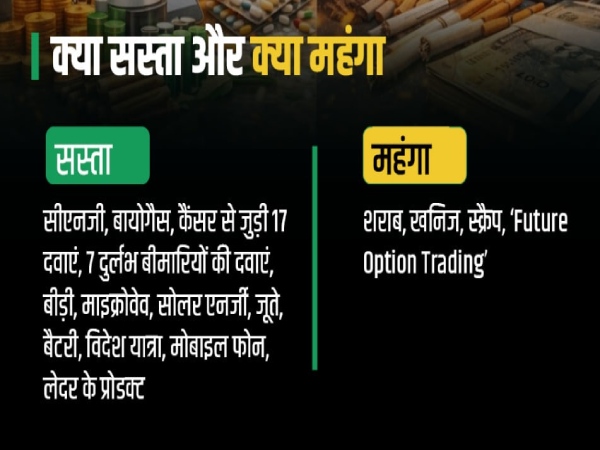 Budget 2026 Highlights Cheaper Medicines Liquor Expensive Key Announcements Explained in Graphics in Hindi Budget 2026 Highlights Cheaper Medicines Liquor Expensive Key Announcements Explained in Graphics in Hindi