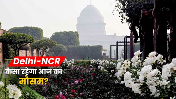 Weather Forecast Today Delhi NCR