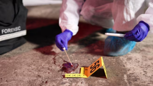 Bahraich Family Murder Reason Bahraich Family Murder Reason