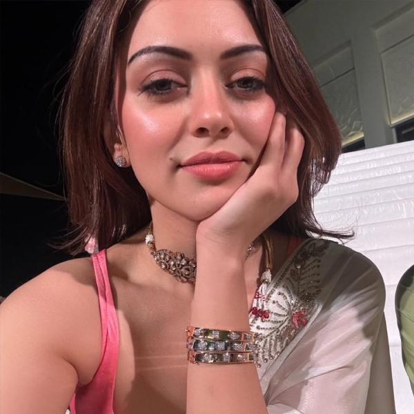 Hansika Motwani Divorce Reason Hansika Motwani Divorce Reason