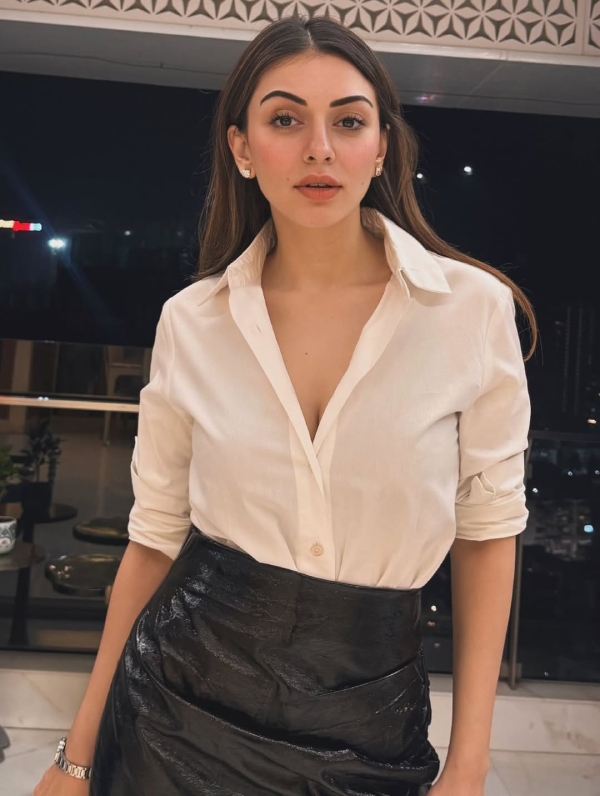 Hansika Motwani Divorce Reason