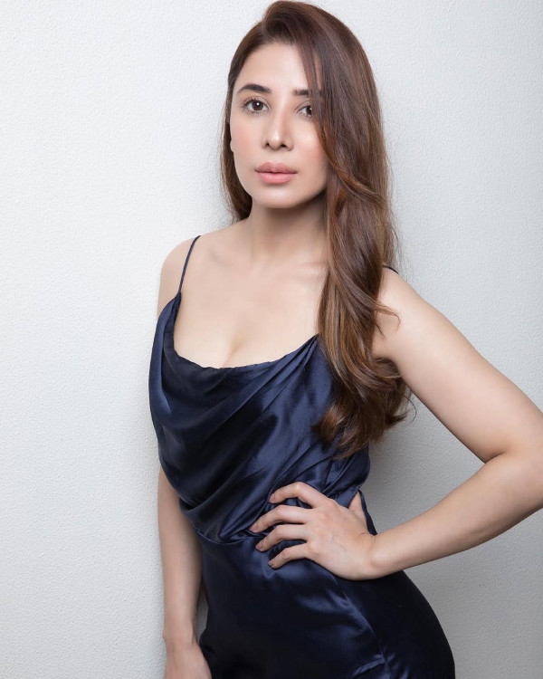 hansika-motwani-defamation-case
