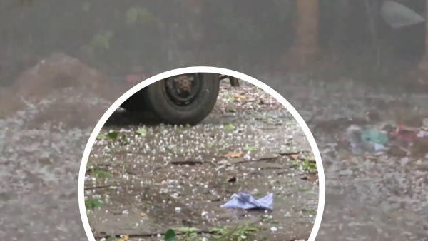 MP Weather MP Weather