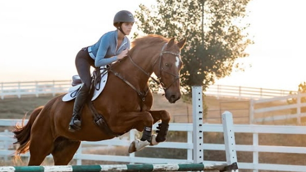 Who is Priya Patel Who is Priya Patel