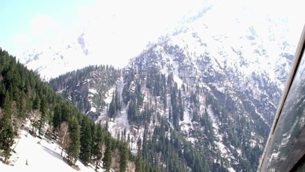 himachal pradesh education