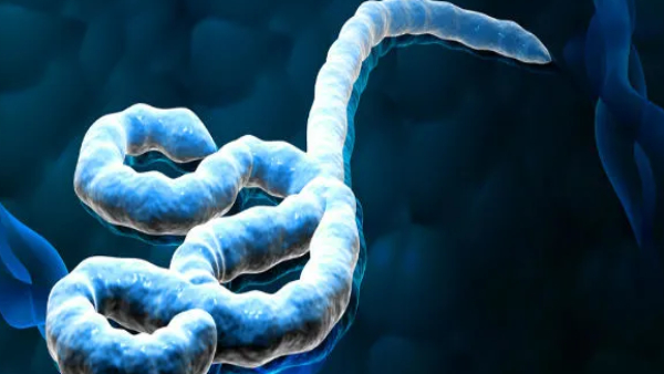 ebola-virus