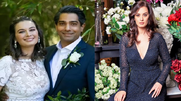 Evelyn Sharma Divorce