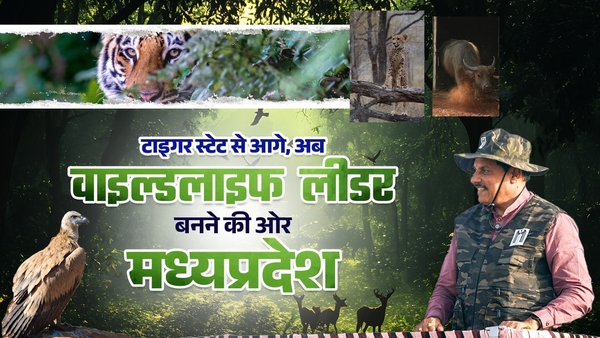 Madhya Pradesh expands wildlife governance with cheetahs