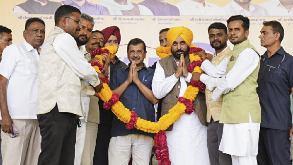 punjab-civic-poll-results-2026