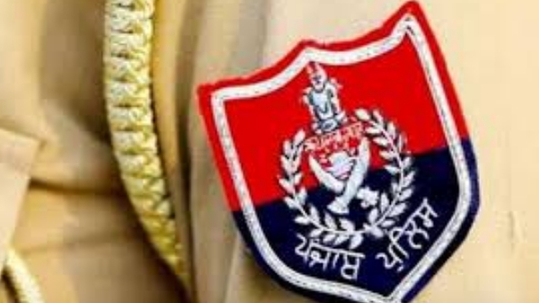 Punjab Majitha