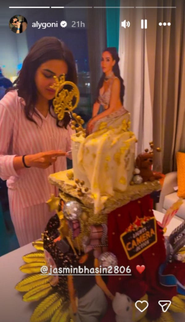 Aly Goni Jasmine Bhasin
