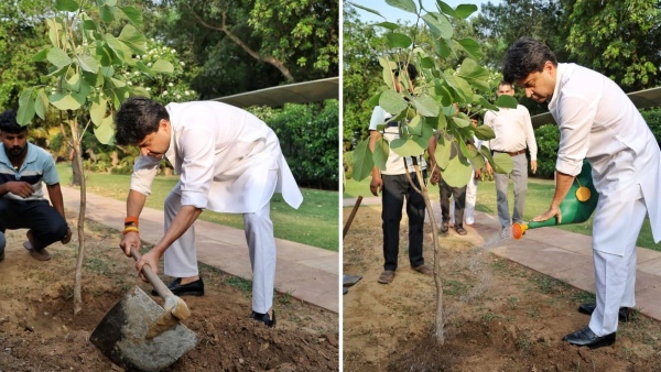 Jyotiraditya Scindia Plants Palash Sapling