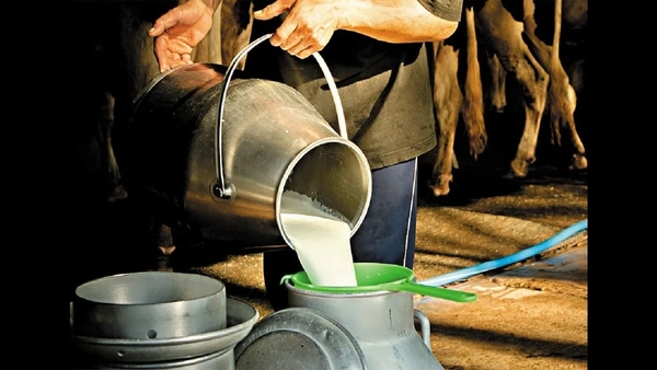 Madhya Pradesh Aims to be Milk Capital