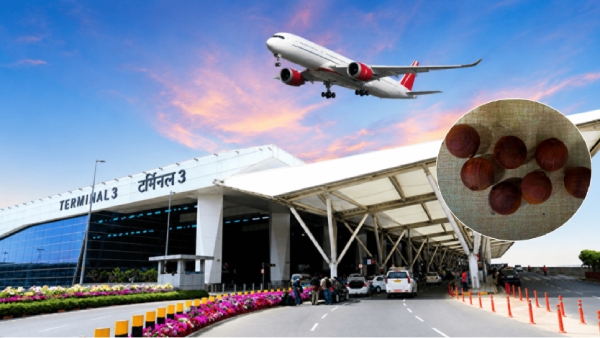Delhi Airport Customs