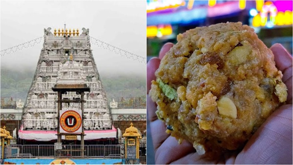 Tirupati Laddu Ghee Adulteration Case