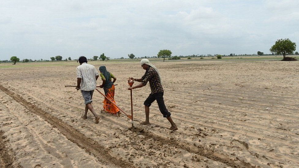 किसान