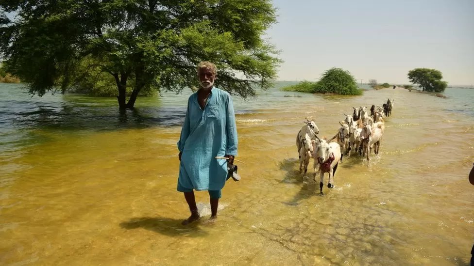 2022 में पाकिस्तान में बाढ़ ने भीषण तबाही मचाई जिससे अर्थव्यवस्था चरमरा गई 2022 में पाकिस्तान में बाढ़ ने भीषण तबाही मचाई जिससे अर्थव्यवस्था चरमरा गई