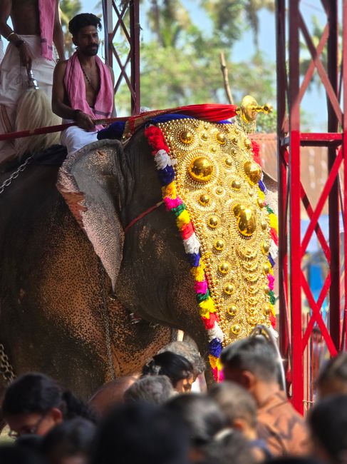 సాంస్కృతిక పండుగలో అలంకరించిన ఏనుగు సవారీ