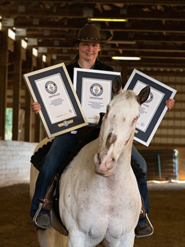 ಮೂರು ಗಿನ್ನಿಸ್ ವಿಶ್ವದಾಖಲೆ ನಿರ್ಮಿಸಿದ ಕಣ್ಣಿಲ್ಲದ ಕುದುರೆ