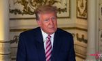 Fact Check: Did Donald Trump congratulate Elon Musk on twitter takeover