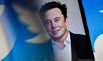 Is Trump coming back on Twitter? Elon Musk replies 