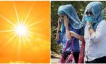 Tamil Nadu Weather Update: Chennai & 4 Other Districts Sizzle Above 40°C