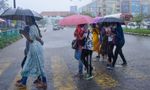 Kerala Weather Update: Moderate Rain Expected In These 10 Districts On Friday