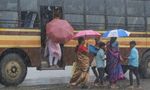 Tamil Nadu Weather Update: 25 Districts On Yellow Alert Today, 12 Tomorrow