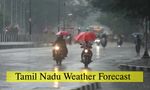 Tamil Nadu Weather Alert: Is Your District Getting Rain Relief? Weekend Weather Forecast Is Here