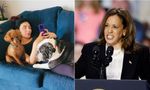 Trump Aide Laura Loomer Launches 'Racist' Tirade Against Kamala Harris: 'White House Will Smell Like Curry'