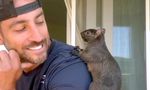 Social Media Sensation 'Peanut' The Squirrel's Euthanisation Sparks Debate Before US Election