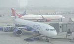 Low Visibility, Smog Disrupt Delhi Flights: 110 Cancelled, Over 370 Delayed