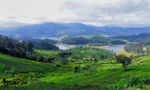 Weather: Ooty Freezes At 5.6°C To Become Coldest Hill Station In South; Kodaikanal Shivers At 6.6°C