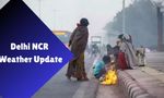 Weather Update: Dense Fog Reduces Visibility In Delhi NCR Today, Minimum Temperature May Drop To 7 Degrees; Wi