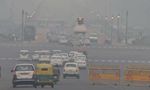 Delhi NCR Residents Wake Up To Dense Fog; IMD Predicts Rain And Snow In The Himalayan Region; Check Here