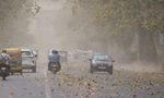 Delhi NCR Weather Update: Foggy Mornings Continue, Light Rain Likely on January 23