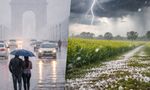 Delhi-NCR, UP Weather Update: Rain, Fog And Hailstorm Likely On January 31 As Fresh Western Disturbance Arrive