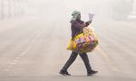 Delhi-NCR Weather: Early Morning Rain Intensifies Cold Wave, AQI Stays Very Poor