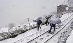Heavy Snowfall Throws Life Out of Gear in Himachal Pradesh - Watch Videos