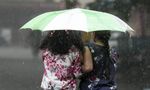 Tamil Nadu Weather: 12 Districts On Yellow, Orange Alerts; Chennai To Get Heavy Rains
