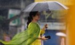 Tamil Nadu Weather: Rains to Return From Saturday; Isolated Heavy Showers Likely in Interior Dists