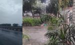 Delhi NCR Weather Update: Dense Fog, Light Rain And Cool Breeze Greet Residents; Travel Advisory Issued