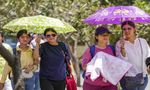 Tamil Nadu Weather Update: 22 Districts Above 30°C, Erode Tops Charts at 34.2°C