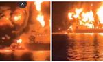 Indian Sailor Killed in Iranian Attack on US-Owned Oil Tanker Near Basra