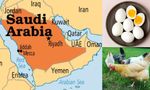 Did Iran Impose Nationwide Ban on Food Exports Amid Escalating Tensions?