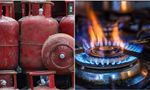 What Is LPG, The Backbone of Indian Kitchens? How Is It Produced? Explained