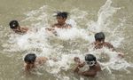 Tamil Nadu Weather: 17 Districts Cross 32°C, Karur Tops at 36.5°C