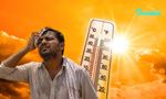 Heatwave Alert As Temperature Rises To 42°C In Delhi-NCR Amid Poor Air Quality; IMD Issues Yellow Alert