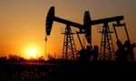 Crude Oil Price Today - April 9: Check Prices of Brent Crude, WTI, Urals, Gasoline & Others