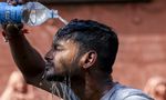 Tamil Nadu Weather: IMD Issues Heat, Humidity Warning For Coastal Region, Puducherry